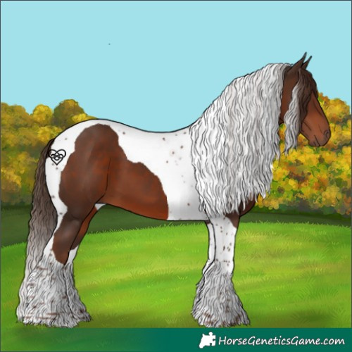 Horse Color:Liver Chestnut Tobiano 