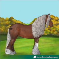 Horse Color:Silver Black Tobiano 