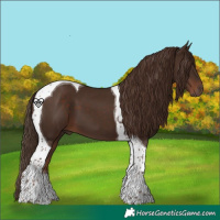 Horse Color:Liver Chestnut Tobiano 