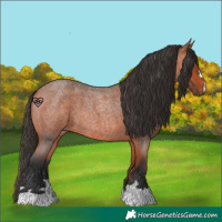 Horse Color:Bay Roan 