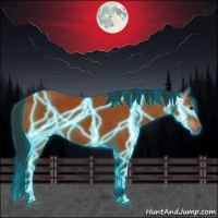 Horse Color:Gray Thunderstruck Bay 