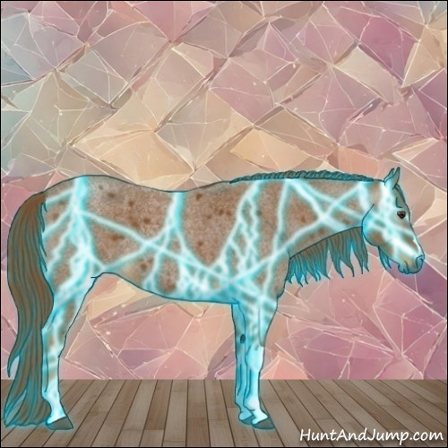 Horse Color:Gray Thunderstruck Red Roan 