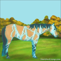 Horse Color:Thunderstruck Buckskin