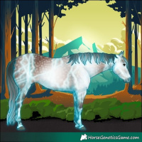 Horse Color:Gray Thunderstruck Bay 