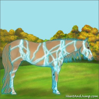 Horse Color:Thunderstruck Chestnut