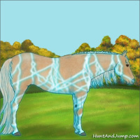 Horse Color:Thunderstruck Palomino Roan 