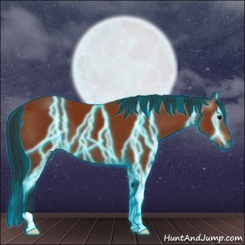 Horse Color:Gray Thunderstruck Bay 