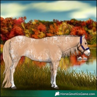 Horse Color:Chestnut Ice 