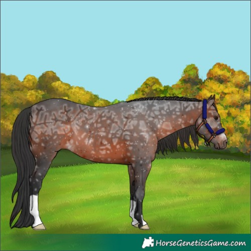 Horse Color:Brown Ice 