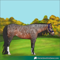 Horse Color:Brown Ice