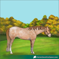 Horse Color:Brown Ice Pearl 