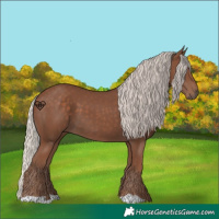 Horse Color:Silver Black 