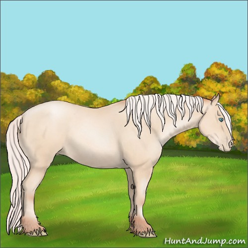 Horse Color:Silver Sable Cream Champagne Pearl 