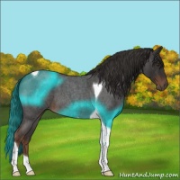 Horse Color:Liver Red Roan Tobiano