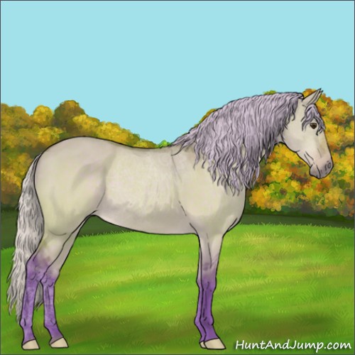 Horse Color:Watercolor Silver Brown Dun