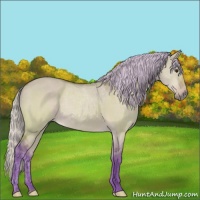 Horse Color:Watercolor Silver Brown Dun 