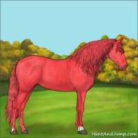 Horse Color:Watercolor Liver Chestnut 