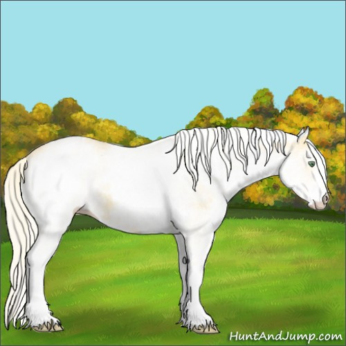 Horse Color:White Spotted Gold Cream Champagne 