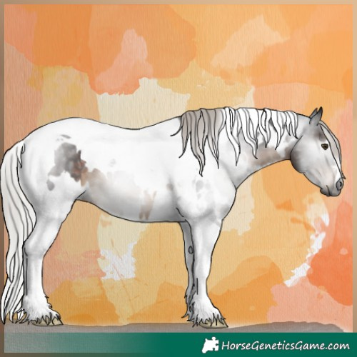 Horse Color:Gray White Spotted Silver Brown Tobiano