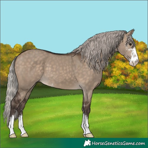 Horse Color:Silver Brown Dun Sabino 