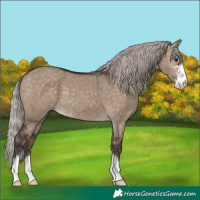 Horse Color:Silver Brown Dun Sabino 