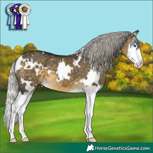 Horse Color:White Spotted Silver Buckskin Dun Mushroom Splash 