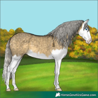 Horse Color:Silver Buckskin Dun Mushroom Sabino Splash 