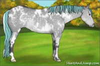 Horse Color:Painted White Spotted Silver Grullo Chinchilla Rabicano 