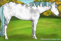 Horse Color:Painted White Spotted Silver Smoky Grullo Chinchilla Onyx 