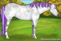 Horse Color:Painted White Spotted Silver Grullo Chinchilla Rabicano 