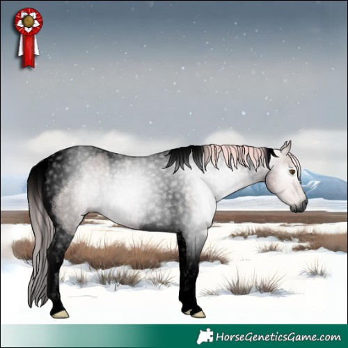 Horse Color:Gray Void Watercolor Palomino Roan Dun Tobiano 