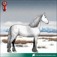 Horse Color:Gray Void Watercolor Palomino Roan Dun Tobiano 