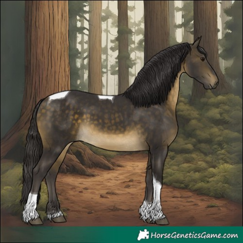 Horse Color:Buckskin Tobiano