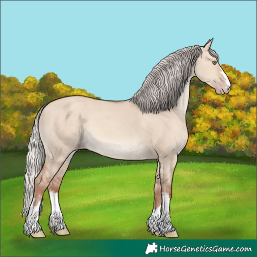 Horse Color:Silver Sable Champagne Dun 