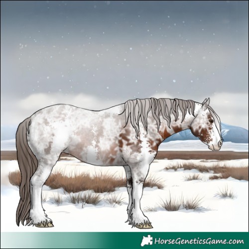 Horse Color:Liver Chestnut Ice Sabino 