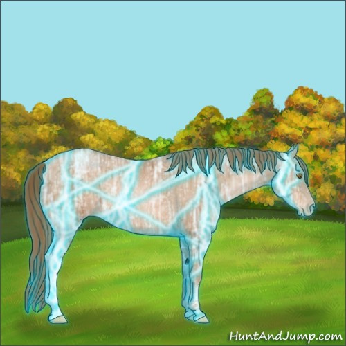 Horse Color:Thunderstruck Liver Chestnut Ice Pearl Sabino Rabicano 