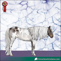 Horse Color:White Spotted Silver Brown 