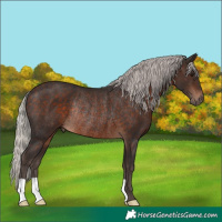 Horse Color:Silver Brown Rabicano 