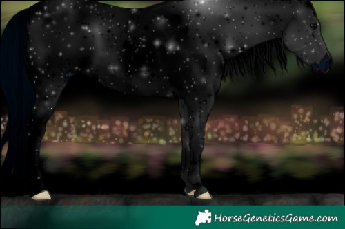 Horse Color:ERROR: UNKNOWN ANOMALY