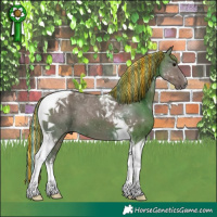 Horse Color:Painted Silver Grullo Tobiano 