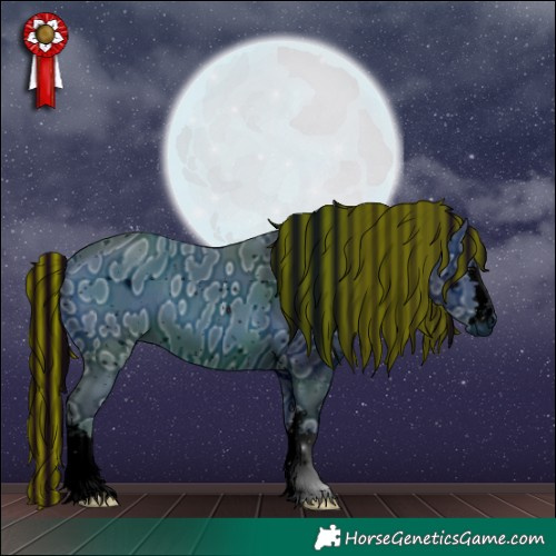 Horse Color:ERROR: UNKNOWN ANOMALY