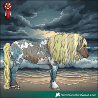 Horse Color:Painted White Spotted Silver Brown Ice Dun 