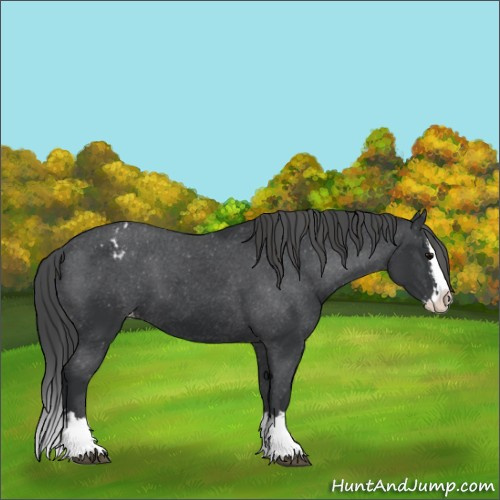 Horse Color:Black Sabino Splash Varnish  and Black Sabino Splash Varnish 