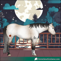 Horse Color:Gray Bay Dun 