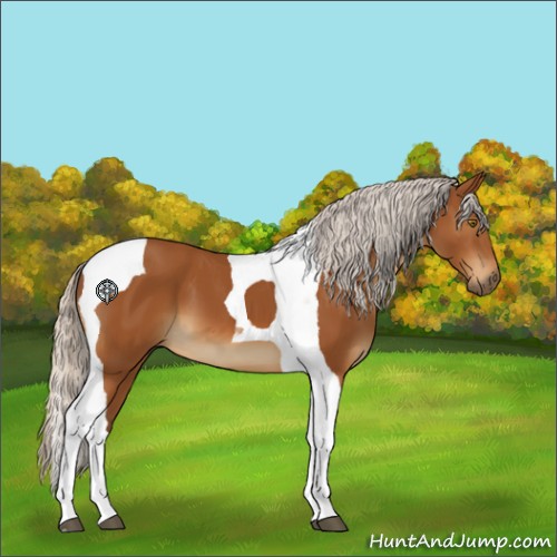 Horse Color:Silver Buckskin Tobiano 