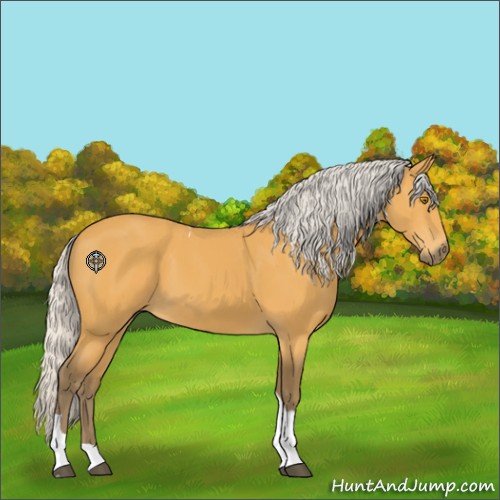 Horse Color:Silver Buckskin Tobiano 