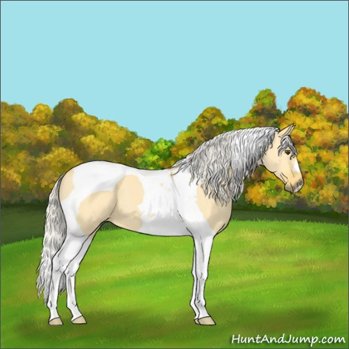 Horse Color:Silver Buckskin Dun Tobiano 