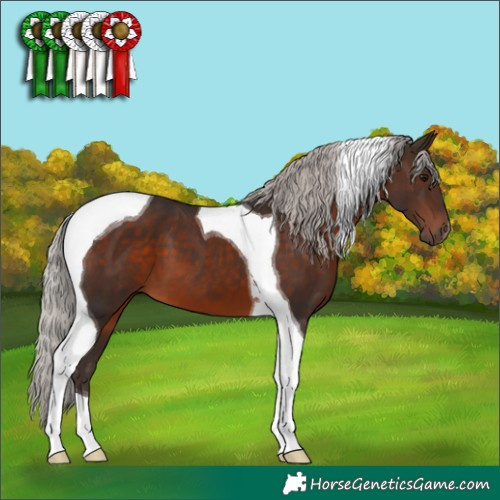 Horse Color:Silver Brown Tobiano 