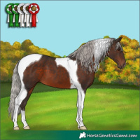 Horse Color:Silver Brown Tobiano 