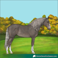 Horse Color:Silver Black 
